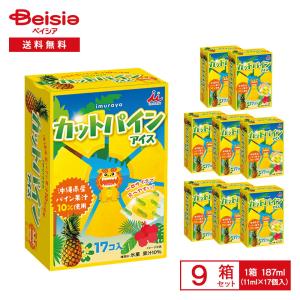 江崎グリコ パピコ チョココーヒー 160ml（80ml×2本入）×24袋 | アイス