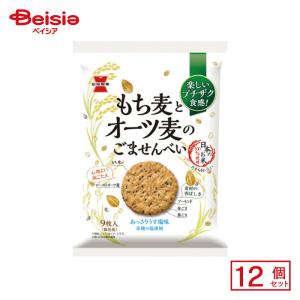 岩塚製菓 もち麦とオーツ麦のごませんべい 9枚×12個 | 駄菓子 おやつ 子供 お菓子 おつまみ 懐かしい 駄菓子屋 詰め合わせ 人気 お徳用 お祭り 縁日 景品 自治