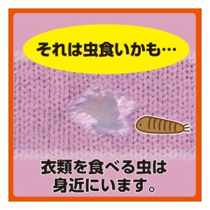 エステー ムシユ-ダ1年防虫 クローゼット3個の詳細画像3