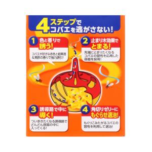 アース製薬 コバエがホイホイ 3個入 | コバ...の詳細画像4