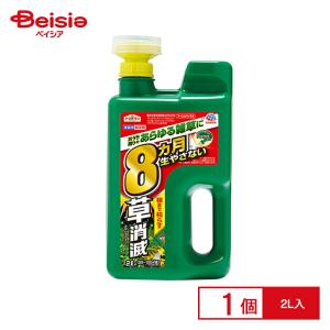 アース製薬 ア−スガーデン カマイラズジョウロヘッド 2000ml｜beisia