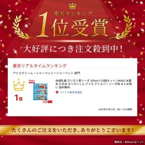 赤城乳業 ガリガリ君ソーダ 105ml×33本...の詳細画像1