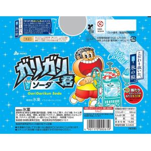 赤城乳業 ガリガリ君ソーダ 105ml×66本...の詳細画像1