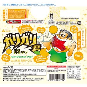 赤城乳業 ガリガリ君 梨 105ml×33本 ...の詳細画像1