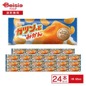 赤城乳業 ガツン、とみかん マルチ 290ml（58ml×5本入）×14箱 | 氷菓