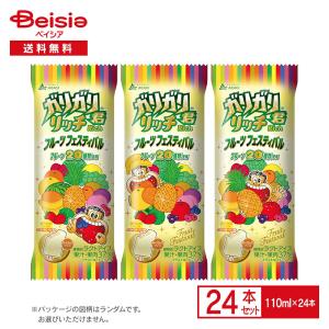 赤城乳業 ガリガリ君リッチ フルーツフェスティバル 110ml×24本 | アイス アイスキャンディー フルーツミックス かき氷 マンゴー もも パイン フルーツ 果汁