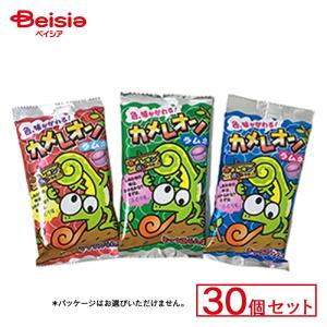 タクマ食品 箱入りするめジャーキーミニ 1袋×50袋 爆買 : 株式会社