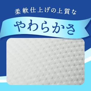 大王製紙 エリエール トイレットコンパクト8ロ...の詳細画像1