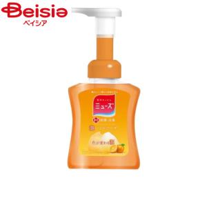 レキットベンキーザー・ジャパン ミューズ 泡ハンドソープ フルーティフレッシュ 本体 250ml｜beisia