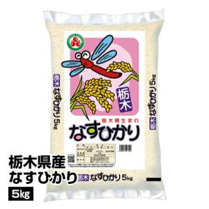栃木県中央食販 令和4年産 白米 栃木県産 なすひかり 5kg