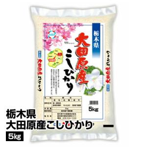 t_令和3年産 白米 栃木県大田原産 コシヒカリ 5kg_4906911611495_1