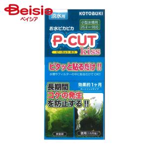 水槽 寿工芸 P・CUT ピー・カット キッス 25 ×4個｜beisia