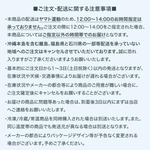 [冷凍] Delcy ブルーベリーもりもりパッ...の詳細画像3
