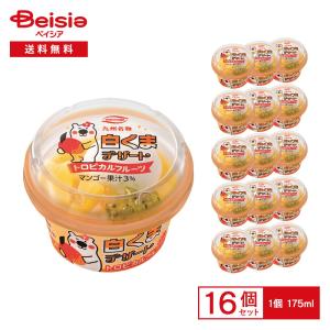 丸永製菓 白くまデザートトロピカルフルーツ 175ml×16個 | フルーツ氷 かき氷 九州 白くま しろくま マンゴー キウイ パイナップル バニラアイス カップアイス
