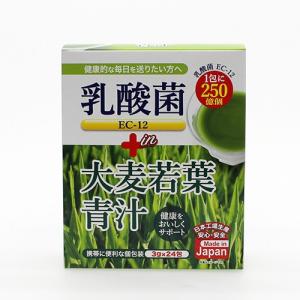 ヒロコーポレーション 乳酸菌EC-12大麦若葉青汁の商品画像