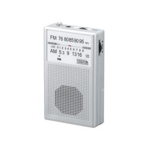 ラジオ・コンポ PANASONIC RF-2450-S RADIO Panasonic Panasonic（パナソニック） FM・AM2バンドラジオ