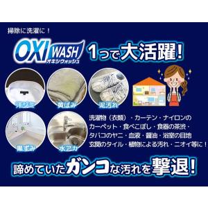 オキシウォッシュ つけおき洗剤 スニーカー・上...の詳細画像1