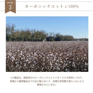天衣無縫 スラブガーゼ フェイスタオル メール...の詳細画像4