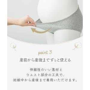 犬印 オーガニックコットン 綿100%浅ばきシ...の詳細画像5