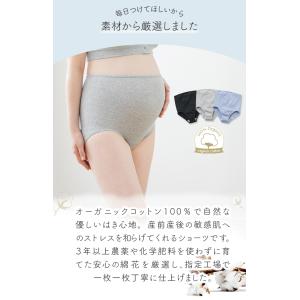 犬印 オーガニックコットン 綿100%深ばきシ...の詳細画像1
