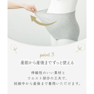 犬印 オーガニックコットン 綿100%深ばきシ...の詳細画像5