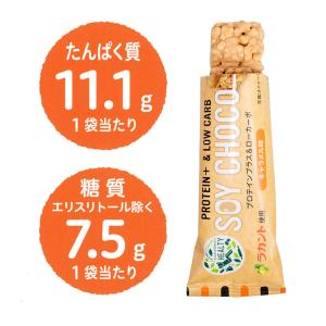 20本セット 全国送料無料 HEALTY SO...の詳細画像5