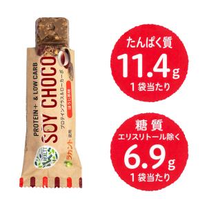 20本セット 全国送料無料 HEALTY SO...の詳細画像3