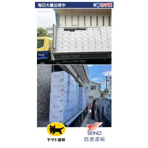 プラスチックグローブ 手袋 使い捨てグローブ ...の詳細画像4