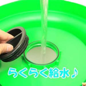 (給水口付)自動給水器 5L(高受皿) (ニワ...の詳細画像2