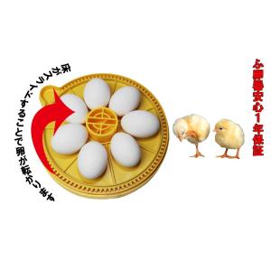 ミニアドバンスII 小型自動孵卵器(ふ卵器・ふ...の詳細画像4