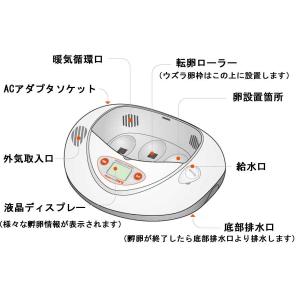 リトルママ 小型自動孵卵器(ふ卵器・ふ卵機)の詳細画像2