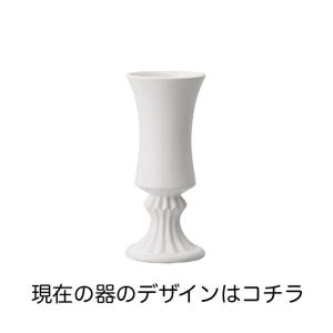 コンパクトな開店祝いに 胡蝶蘭 プリザーブドフ...の詳細画像4