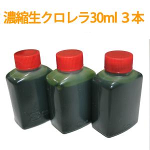 【メール便発送可】濃縮生クロレラ原液 30ml 3本 （合計90ml） 生クロレラ水 グリーンウォーター｜believeshop