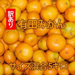 訳あり　和歌山県産 有田みかん サイズ混合（SML） 5kg　ありだみかん　家庭用　