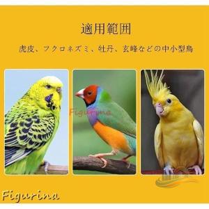 ケージ 通気性 鳥かご アクリル 透明 猫用 ...の詳細画像4