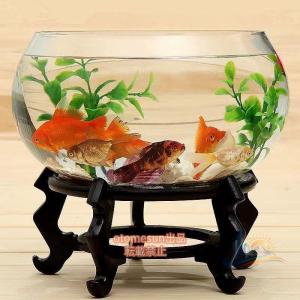金魚鉢 丸型金魚鉢 大容量 おしゃれ 透明 アドバンスト ガラス テーブル アクアリウム 観葉植物 容器 テラリウム 40cm 一人暮らし リビング 寝室 来客用