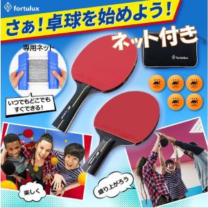 卓球 ラケット セット 2本 ネット ケース ボール 初心者