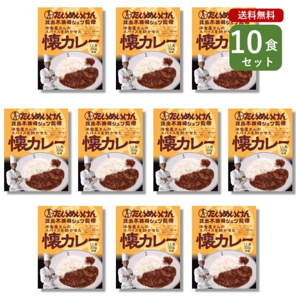 ご当地カレー 10個 セット （ 三代目たいめいけん 茂出木シェフ監修 懐カレー ） 東京 名店 簡...