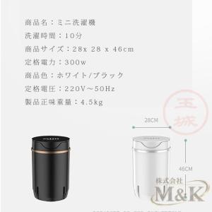 洗濯機 小型 簡易洗濯機 コンパクト 省スペー...の詳細画像4
