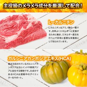ダイエット サプリメント 燃焼系 燃焼革命 ブ...の詳細画像2