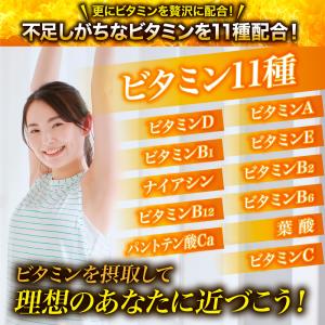 ダイエット サプリメント 燃焼系 燃焼革命 ブ...の詳細画像4