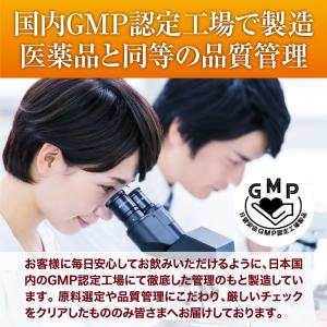 ダイエット サプリメント 燃焼系 燃焼革命 ブ...の詳細画像5