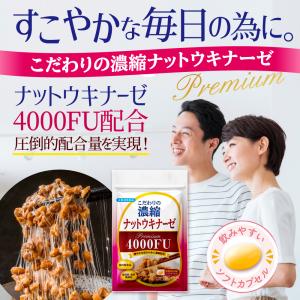 ナットウキナーゼ サプリ 納豆キナーゼ サプリメント