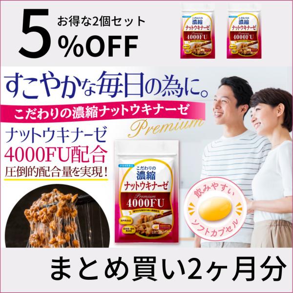 ナットウキナーゼ 納豆キナーゼ サプリメント こだわりの濃縮 4000FU 酵素  納豆菌 2袋セッ...