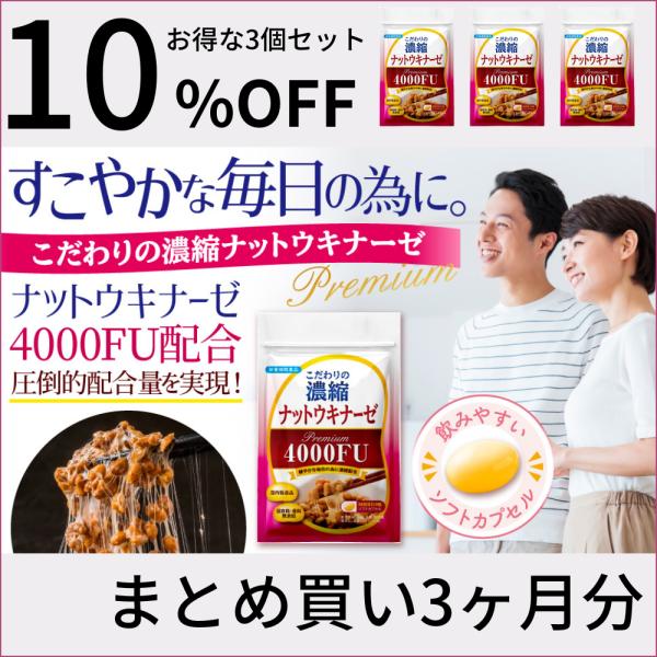 ナットウキナーゼ サプリメント こだわりの濃縮納豆キナーゼ 4000FU 酵素 納豆菌 3袋 