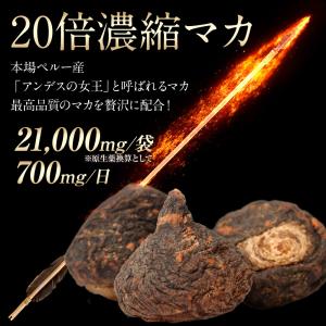 マカ サプリメント 亜鉛 クラチャイダム TR...の詳細画像2