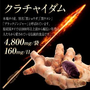 マカ サプリメント 亜鉛 クラチャイダム TR...の詳細画像3