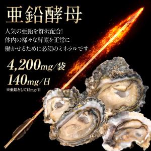 マカ サプリメント 亜鉛 クラチャイダム TR...の詳細画像4