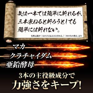 マカ サプリメント 亜鉛 クラチャイダム TR...の詳細画像5