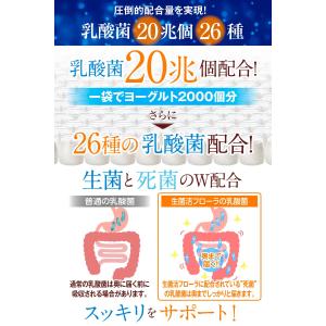 乳酸菌 サプリ 酪酸菌 サプリメント 生菌活フ...の詳細画像2